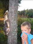 Sweden 2006-07 224